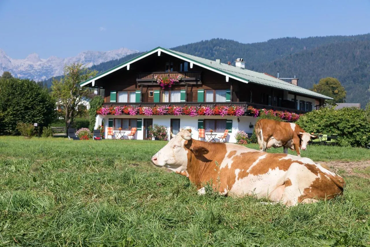 Schönau am Königssee Ferienwohnung Drachllehen